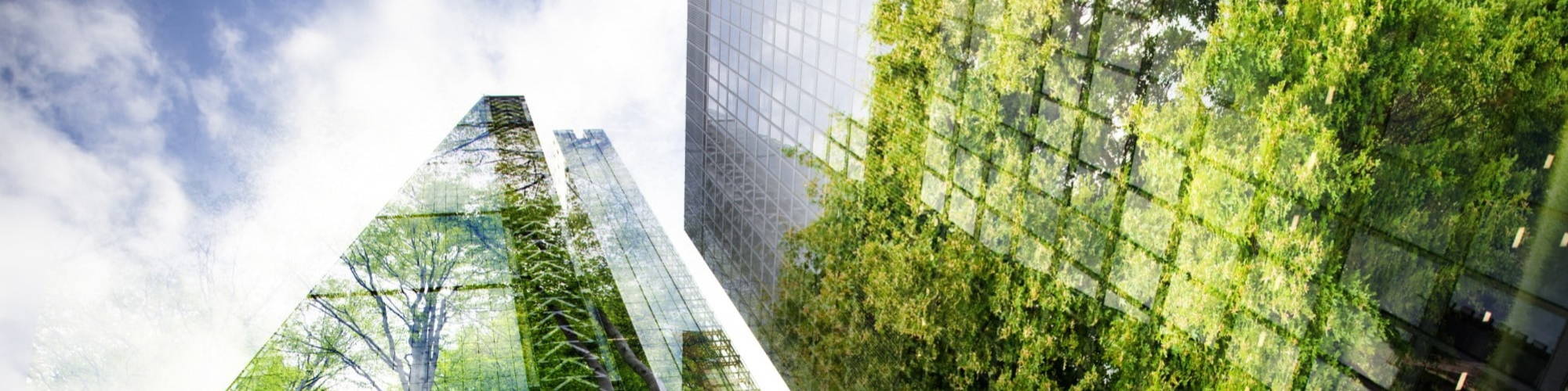 Skyscrapers with trees reflected in the glass